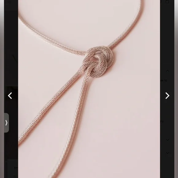 NIP Three Birds Nest Horizon Drop Necklace - Picture 3 of 5